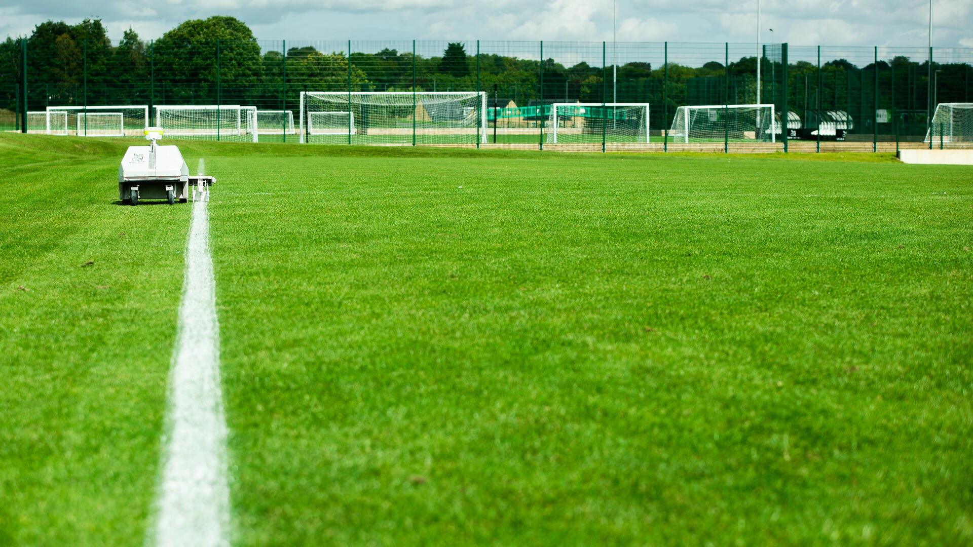 grass pitch with white painted line