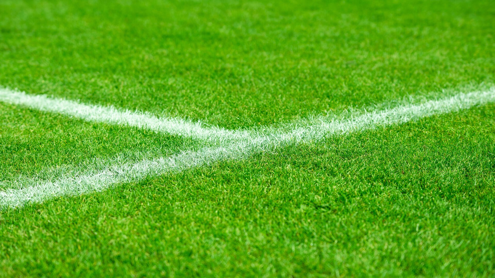 grass pitch with white line